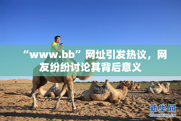 “www.bb”网址引发热议，网友纷纷讨论其背后意义