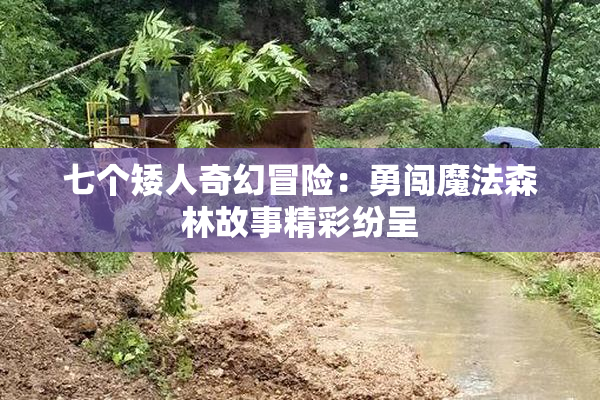 七个矮人奇幻冒险：勇闯魔法森林故事精彩纷呈