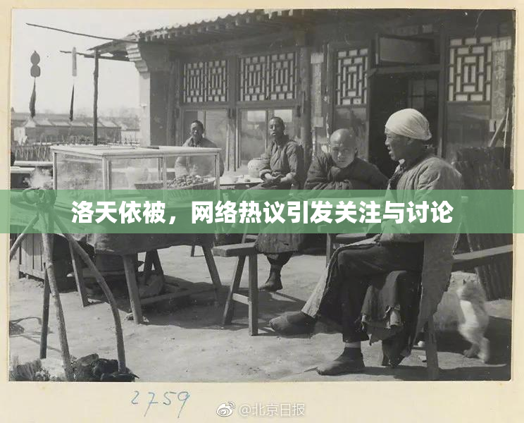 洛天依被，网络热议引发关注与讨论