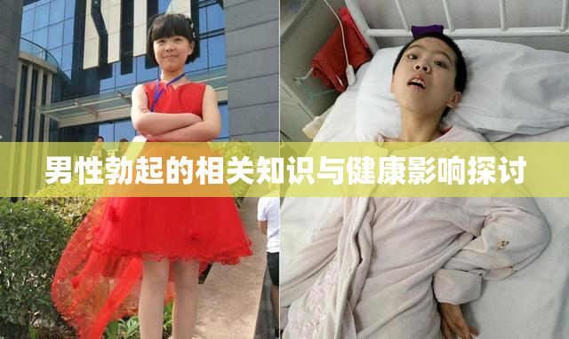 男性勃起的相关知识与健康影响探讨
