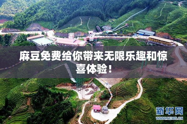 麻豆免费给你带来无限乐趣和惊喜体验！