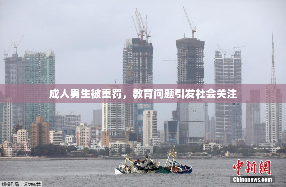 成人男生被重罚，教育问题引发社会关注