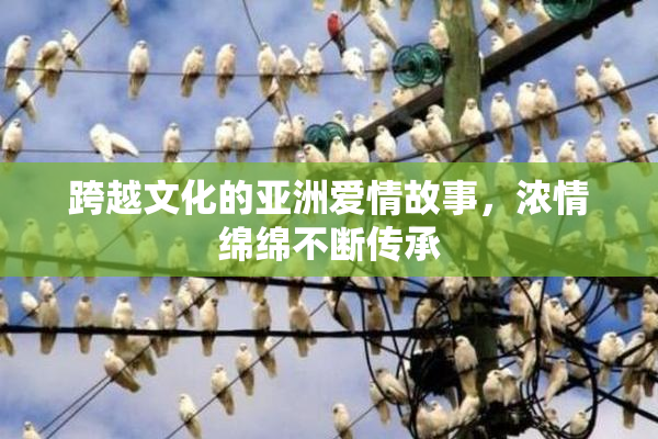 跨越文化的亚洲爱情故事，浓情绵绵不断传承