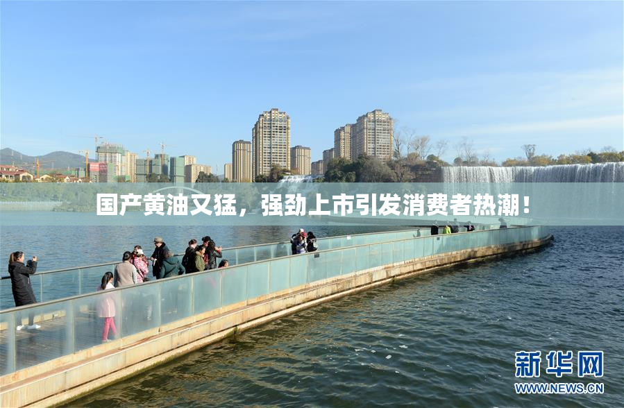 国产黄油又猛，强劲上市引发消费者热潮！