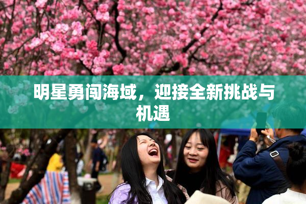 明星勇闯海域，迎接全新挑战与机遇