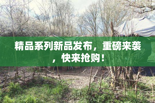 精品系列新品发布，重磅来袭，快来抢购！