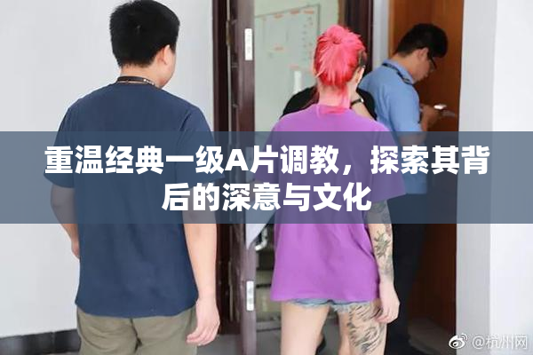 重温经典一级A片调教，探索其背后的深意与文化