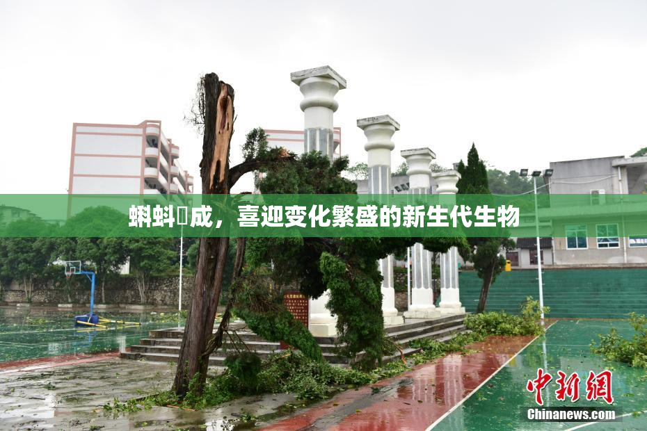 蝌蚪窉成，喜迎变化繁盛的新生代生物
