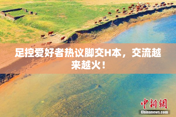 足控爱好者热议脚交H本，交流越来越火！