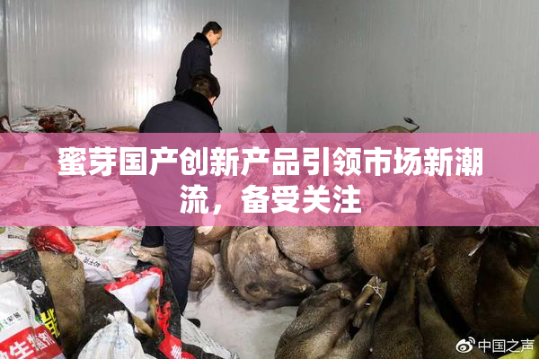 蜜芽国产创新产品引领市场新潮流，备受关注