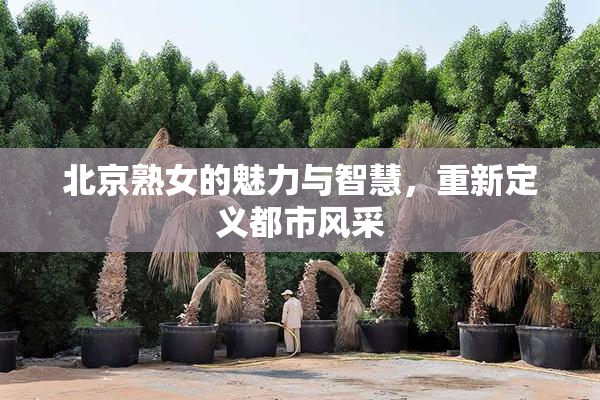 北京熟女的魅力与智慧，重新定义都市风采