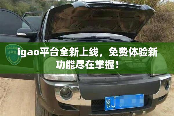 igao平台全新上线，免费体验新功能尽在掌握！
