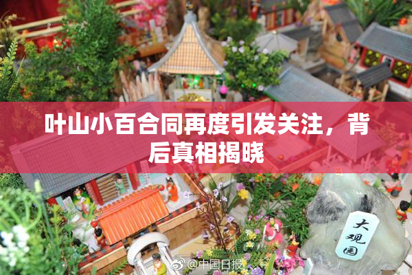 叶山小百合同再度引发关注，背后真相揭晓
