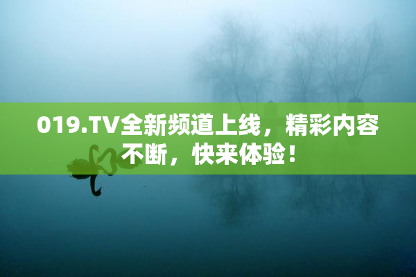 019.TV全新频道上线，精彩内容不断，快来体验！