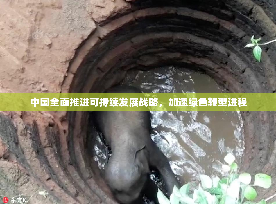 中国全面推进可持续发展战略，加速绿色转型进程