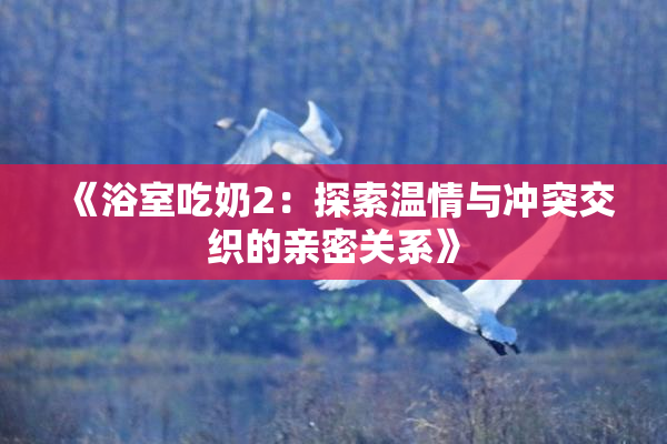 《浴室吃奶2：探索温情与冲突交织的亲密关系》