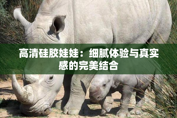 高清硅胶娃娃：细腻体验与真实感的完美结合