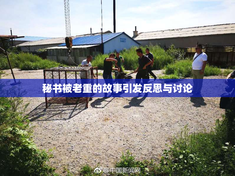 秘书被老重的故事引发反思与讨论