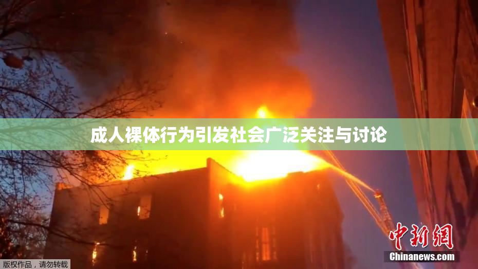 成人裸体行为引发社会广泛关注与讨论