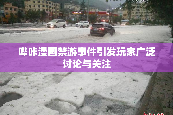 哔咔漫画禁游事件引发玩家广泛讨论与关注