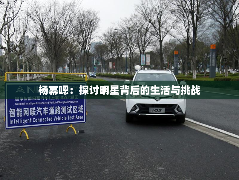杨幂嗯：探讨明星背后的生活与挑战