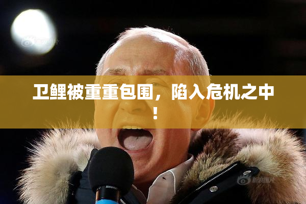 卫鲤被重重包围，陷入危机之中！