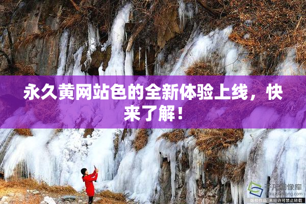 永久黄网站色的全新体验上线，快来了解！