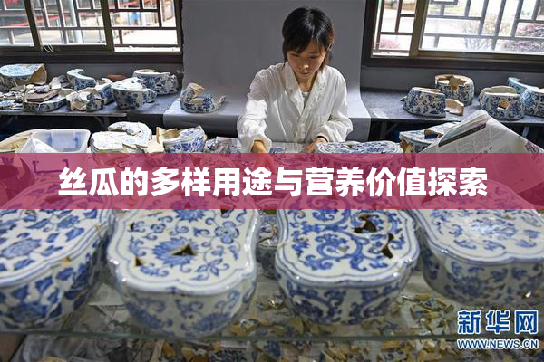 丝瓜的多样用途与营养价值探索