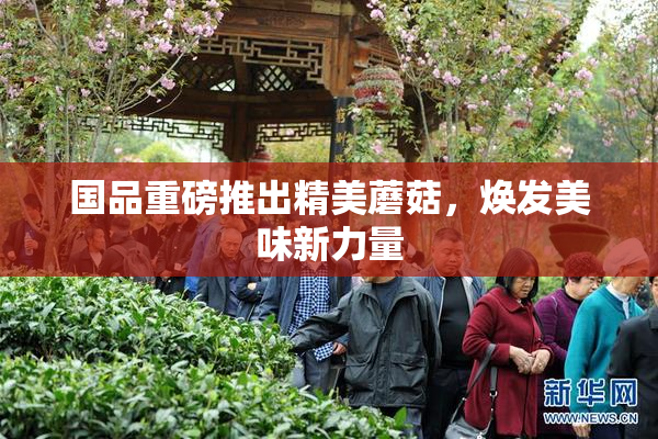 国品重磅推出精美蘑菇，焕发美味新力量
