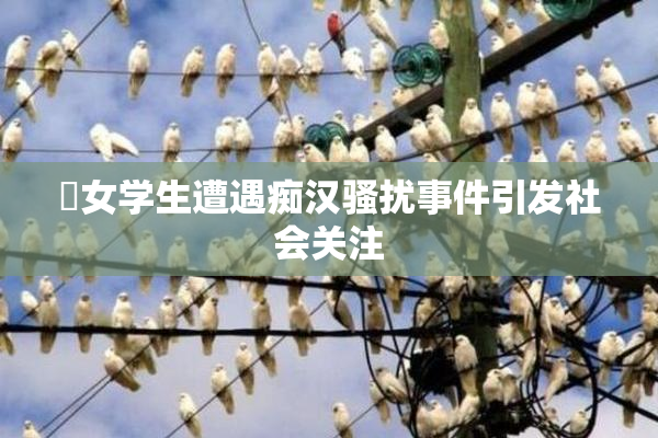 巜女学生遭遇痴汉骚扰事件引发社会关注