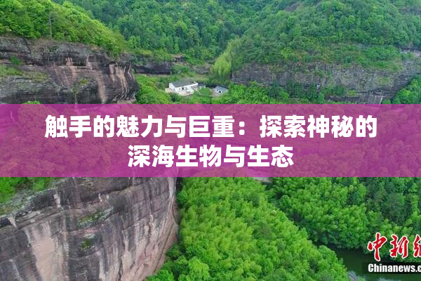 触手的魅力与巨重：探索神秘的深海生物与生态