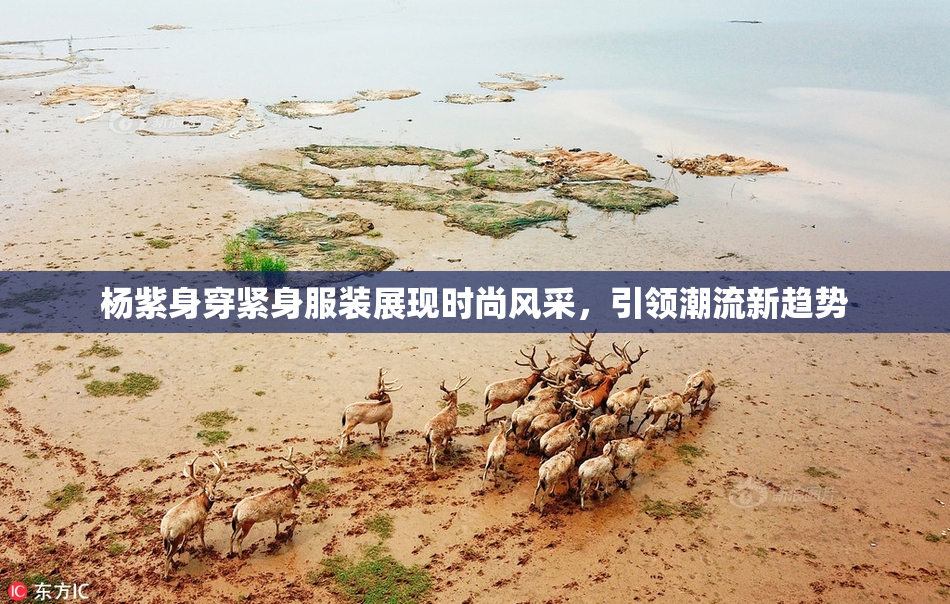 杨紫身穿紧身服装展现时尚风采，引领潮流新趋势