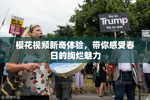 樱花视频新奇体验，带你感受春日的绚烂魅力