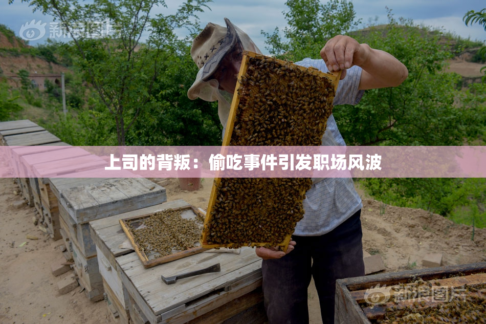 上司的背叛：偷吃事件引发职场风波