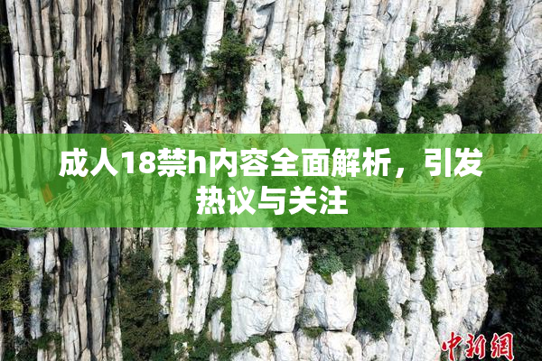 成人18禁h内容全面解析，引发热议与关注