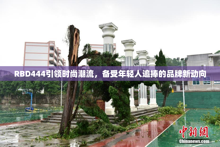 RBD444引领时尚潮流，备受年轻人追捧的品牌新动向