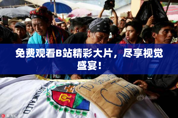 免费观看B站精彩大片，尽享视觉盛宴！