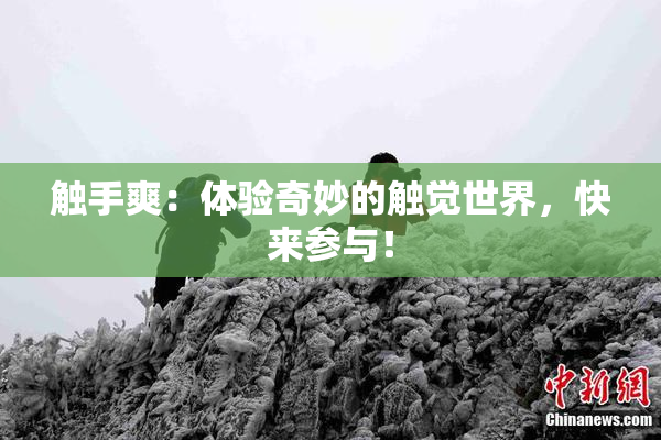 触手爽：体验奇妙的触觉世界，快来参与！
