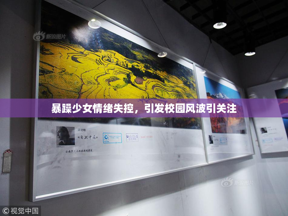 暴躁少女情绪失控，引发校园风波引关注