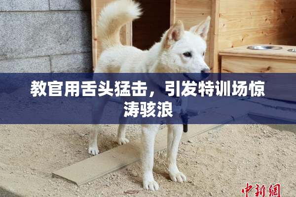 教官用舌头猛击，引发特训场惊涛骇浪