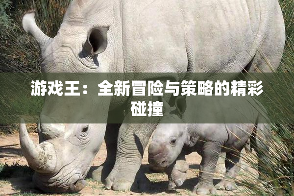 游戏王：全新冒险与策略的精彩碰撞