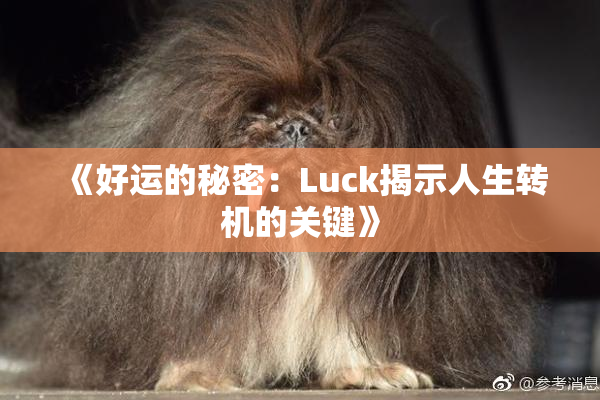 《好运的秘密：Luck揭示人生转机的关键》