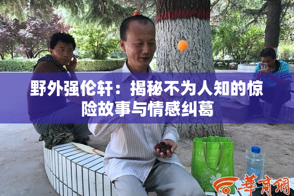 野外强伦轩：揭秘不为人知的惊险故事与情感纠葛