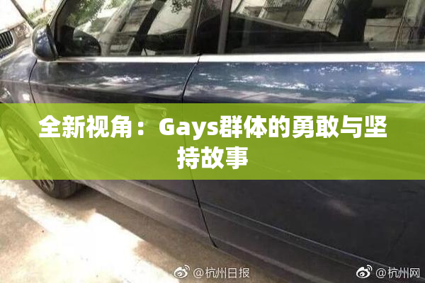 全新视角：Gays群体的勇敢与坚持故事
