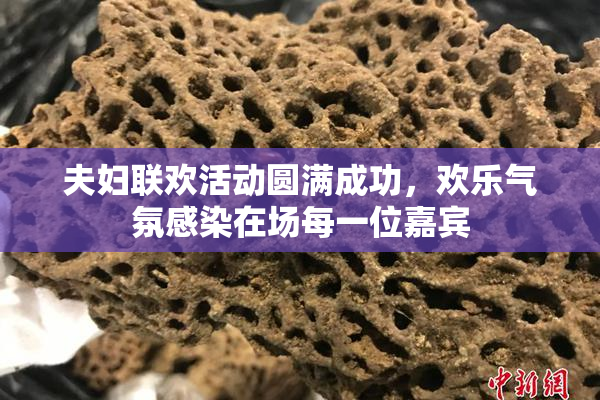 夫妇联欢活动圆满成功，欢乐气氛感染在场每一位嘉宾