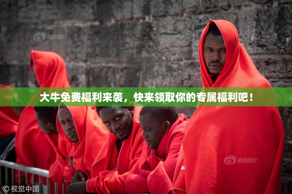 大牛免费福利来袭，快来领取你的专属福利吧！