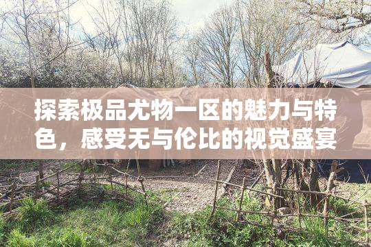 探索极品尤物一区的魅力与特色，感受无与伦比的视觉盛宴！