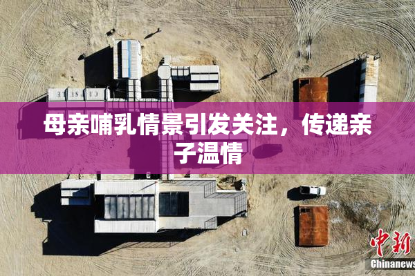 母亲哺乳情景引发关注，传递亲子温情
