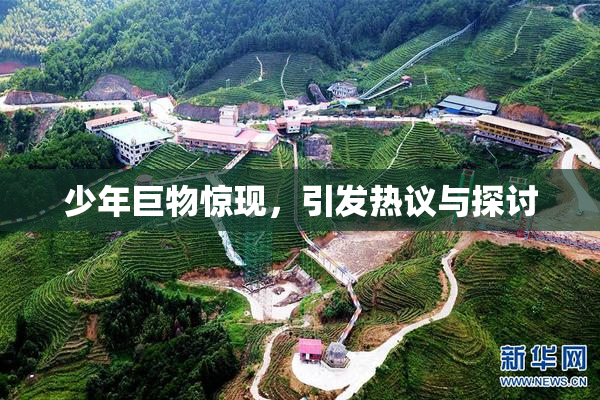 少年巨物惊现，引发热议与探讨