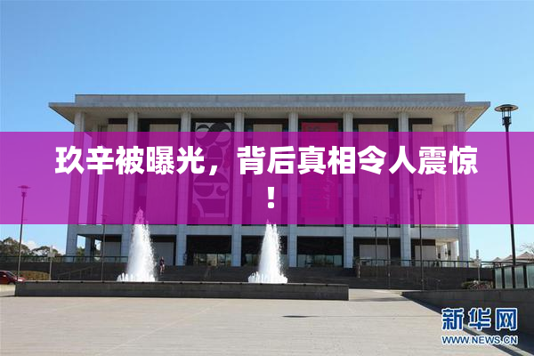 玖辛被曝光，背后真相令人震惊！